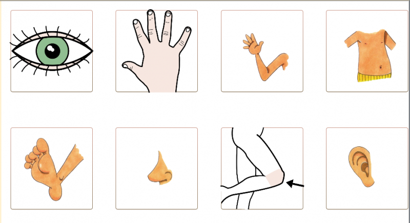 File:Patio vocabulario manual plantilla en.png